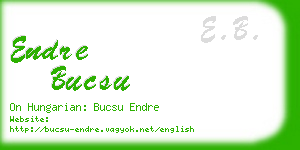 endre bucsu business card